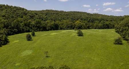 Big Spring And Creek Near Buffalo River In Arkansas - image 22