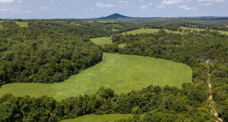 Big Spring And Creek Near Buffalo River In Arkansas - image 7