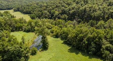 Big Spring And Creek Near Buffalo River In Arkansas - image 14