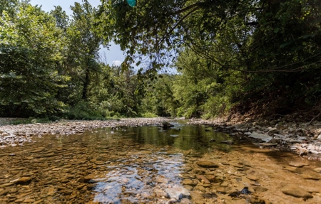 Big Spring And Creek Near Buffalo River In Arkansas - image 25