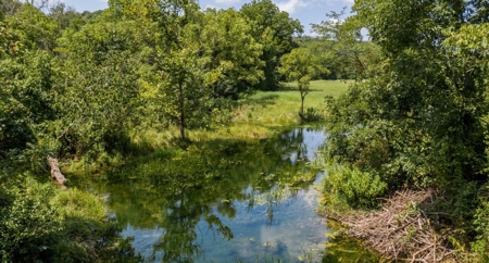 Big Spring And Creek Near Buffalo River In Arkansas - image 12