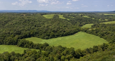 Big Spring And Creek Near Buffalo River In Arkansas - image 9