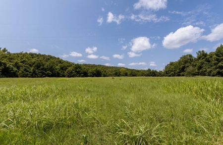 Big Spring And Creek Near Buffalo River In Arkansas - image 30