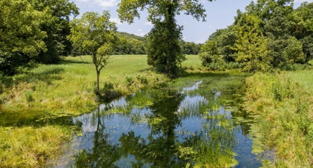 Big Spring And Creek Near Buffalo River In Arkansas - image 13