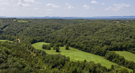 Big Spring And Creek Near Buffalo River In Arkansas - image 8