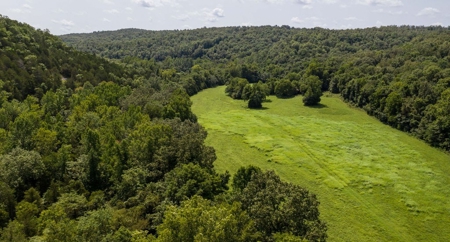 Big Spring And Creek Near Buffalo River In Arkansas - image 6