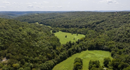 Big Spring And Creek Near Buffalo River In Arkansas - image 11