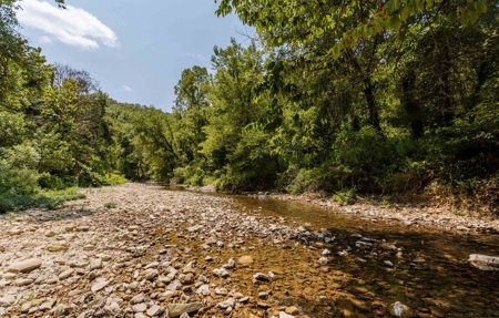 Big Spring And Creek Near Buffalo River In Arkansas - image 27