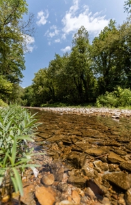 Big Spring And Creek Near Buffalo River In Arkansas - image 24