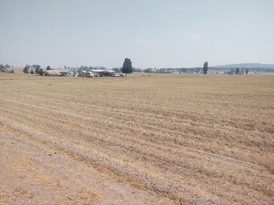 Lot 15 Lake Unit 4 - image 7