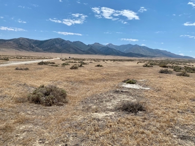 Land for Sale Imlay, NV - image 4