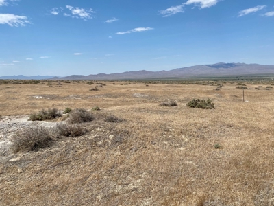 Land for Sale Imlay, NV - image 1