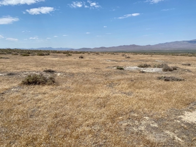 Land for Sale Imlay, NV - image 7