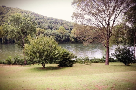 White River Front Home in the Ozark Mountains - image 7