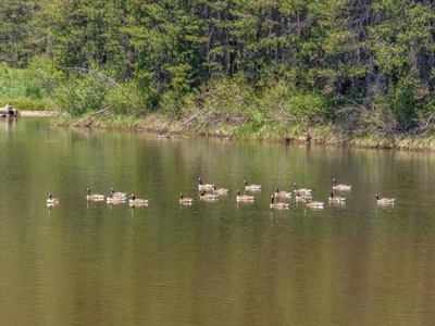 River Front Vacation Property - image 3