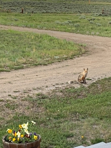 Charming Home with Million dollar views in all directions - image 7