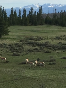 Charming Home with Million dollar views in all directions - image 2