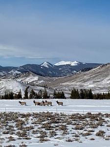 Charming Home with Million dollar views in all directions - image 5