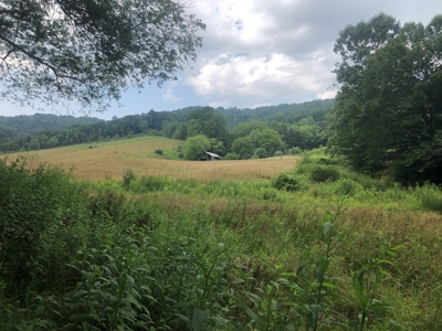 Beautiful Acreage for Sale in Mouth of Wilson VA - image 14
