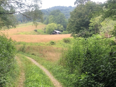 Beautiful Acreage for Sale in Mouth of Wilson VA - image 15