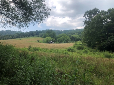 Beautiful Acreage for Sale in Mouth of Wilson VA - image 11
