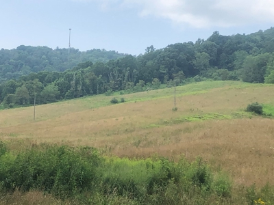 Beautiful Acreage for Sale in Mouth of Wilson VA - image 16