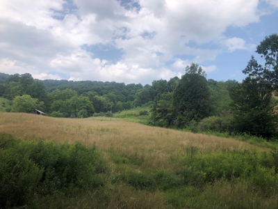 Beautiful Acreage for Sale in Mouth of Wilson VA - image 17