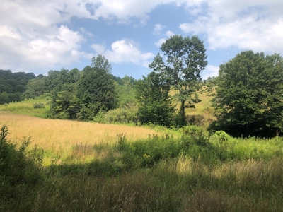 Beautiful Acreage for Sale in Mouth of Wilson VA - image 8