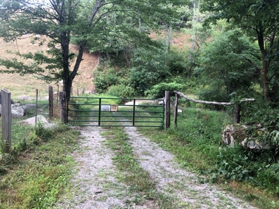 Beautiful Acreage for Sale in Mouth of Wilson VA - image 2