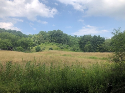 Beautiful Acreage for Sale in Mouth of Wilson VA - image 19