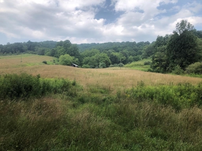 Beautiful Acreage for Sale in Mouth of Wilson VA - image 1