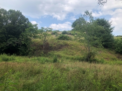 Beautiful Acreage for Sale in Mouth of Wilson VA - image 12