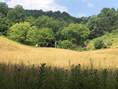 Beautiful Acreage for Sale in Mouth of Wilson VA - image 18