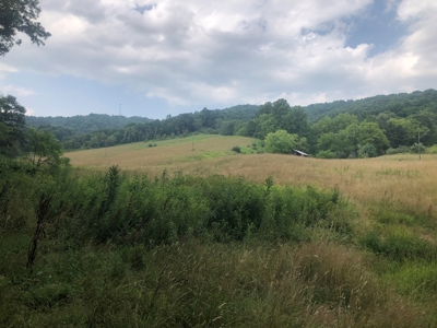 Beautiful Acreage for Sale in Mouth of Wilson VA - image 20
