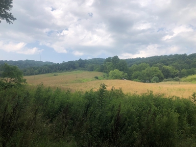 Beautiful Acreage for Sale in Mouth of Wilson VA - image 9