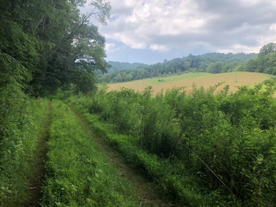 Beautiful Acreage for Sale in Mouth of Wilson VA - image 7