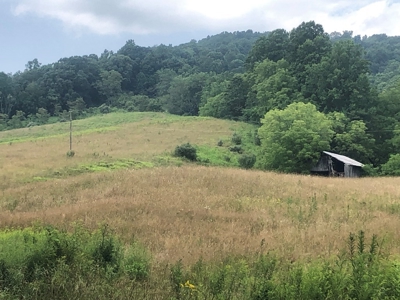 Beautiful Acreage for Sale in Mouth of Wilson VA - image 13