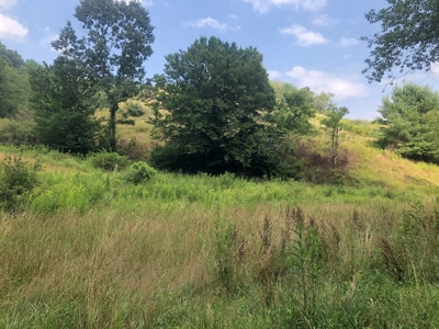 Beautiful Acreage for Sale in Mouth of Wilson VA - image 6