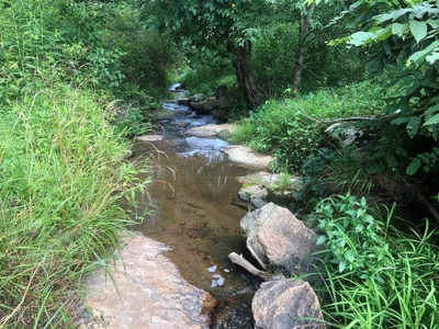 Beautiful Acreage for Sale in Mouth of Wilson VA - image 10