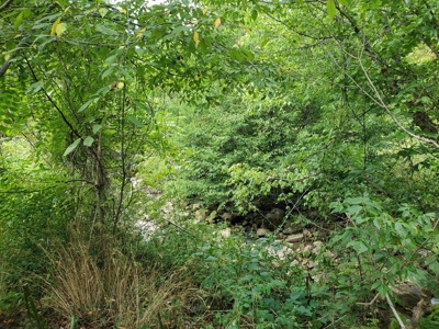 Farm House for Sale in Abingdon VA - image 10