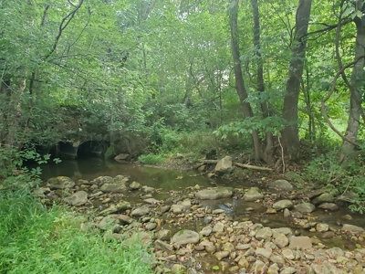 Farm House for Sale in Abingdon VA - image 14