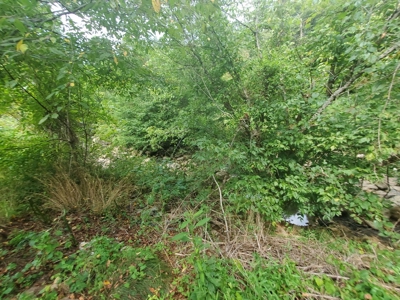 Farm House for Sale in Abingdon VA - image 11
