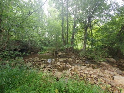 Farm House for Sale in Abingdon VA - image 16