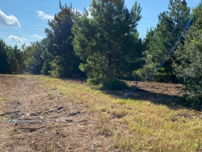 Land for sale in East Texas - image 18