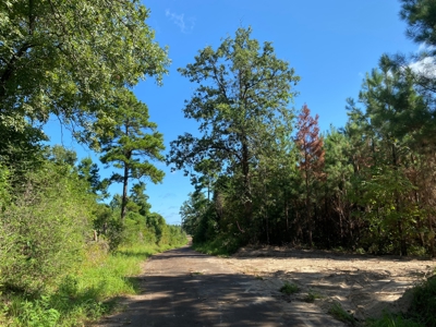 Land for sale in East Texas - image 12
