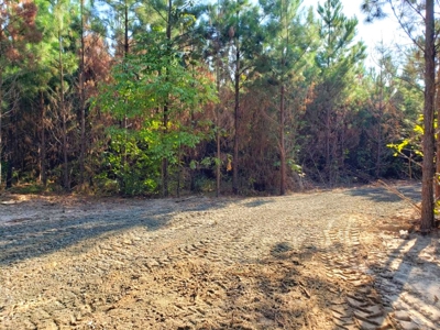 Land for sale in East Texas - image 24