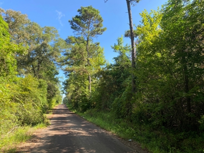 Land for sale in East Texas - image 13