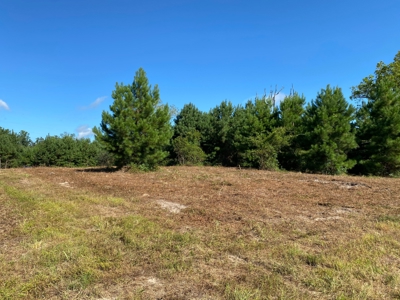 Land for sale in East Texas - image 19