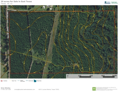 Land for sale in East Texas - image 20