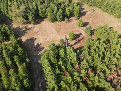 Land for sale in East Texas - image 23